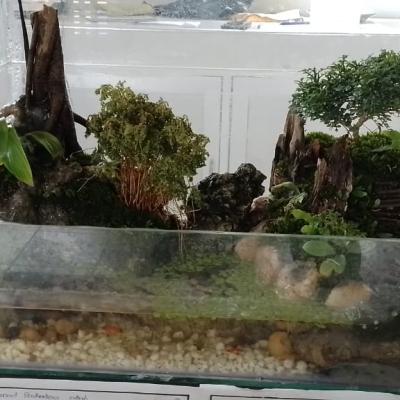 48fcca63 9400 4b3c Ada8 9f8e2e4ba135